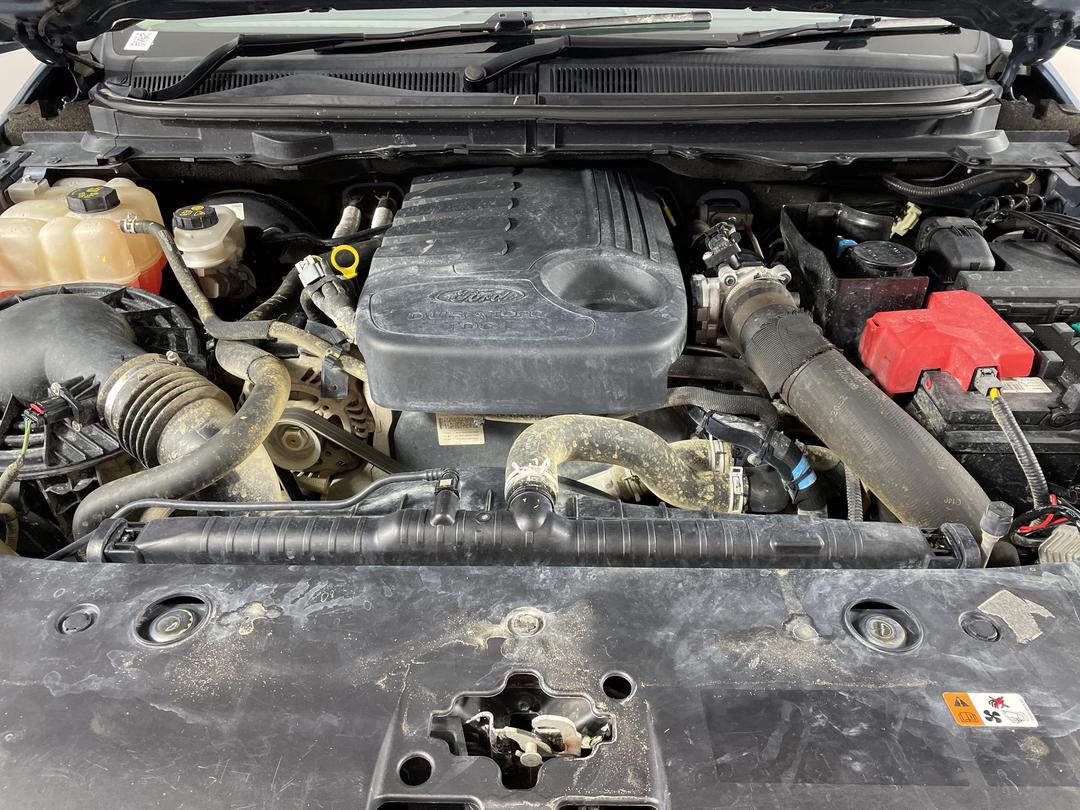 Photo '13' of Ford Ranger