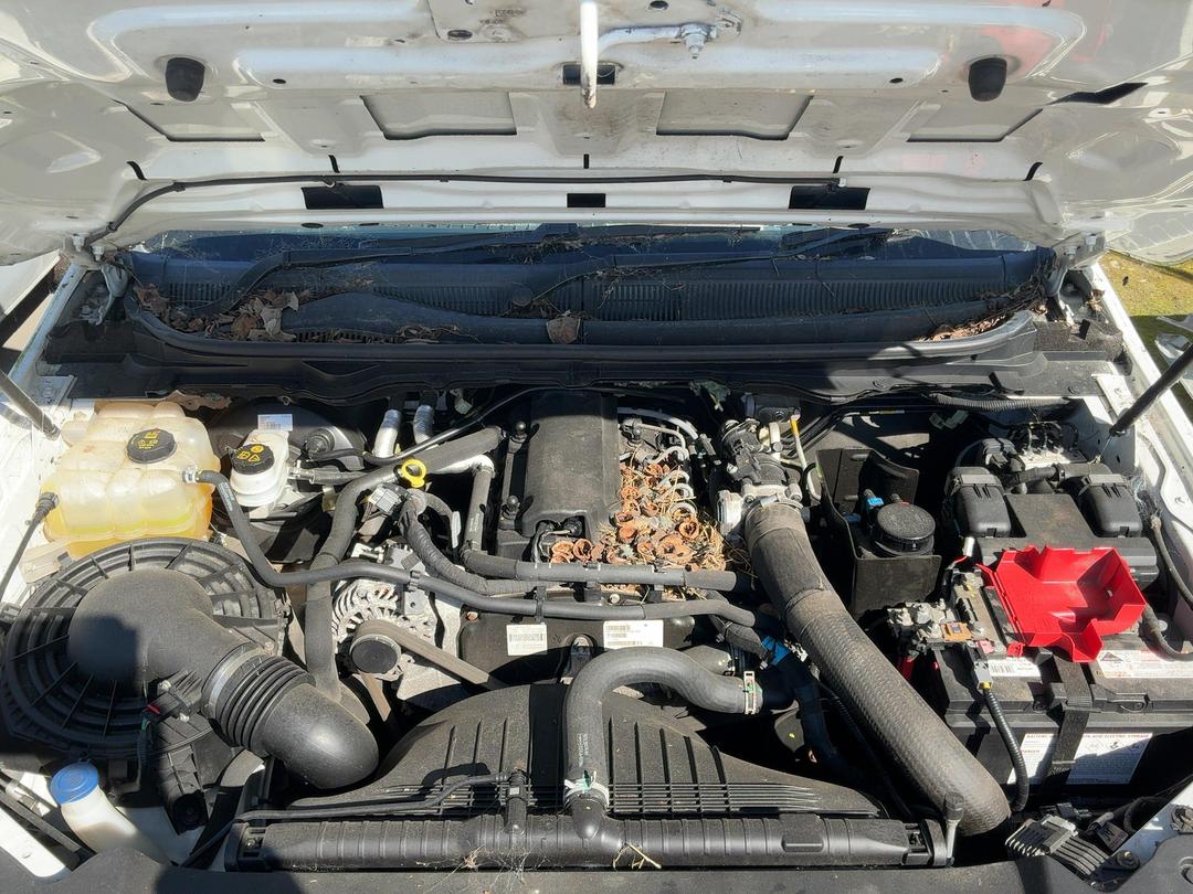 Photo '8' of Ford Ranger XL Sing/CAB Chassis Photo '8' of Ford Ranger XL Sing/CAB Chassis