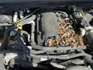 Thumbnail '9' of Ford Ranger XL Sing/CAB Chassis