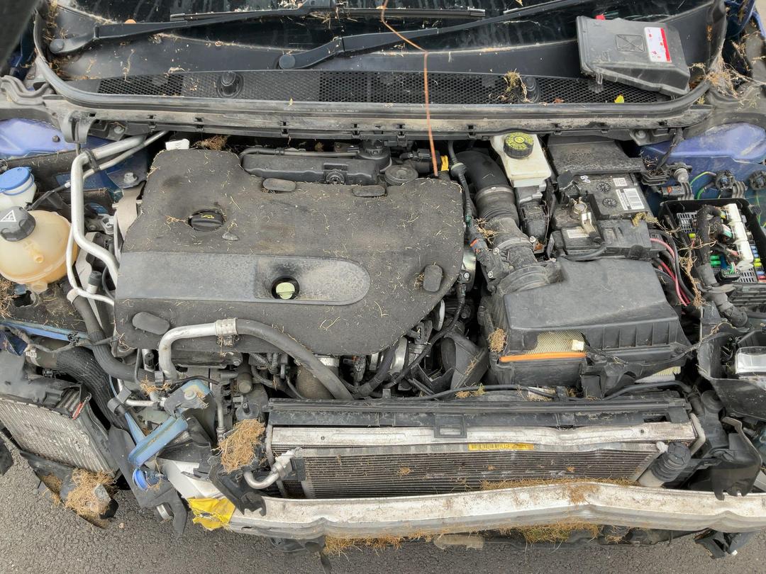 Photo '15' of Peugeot 308 GT Diesel