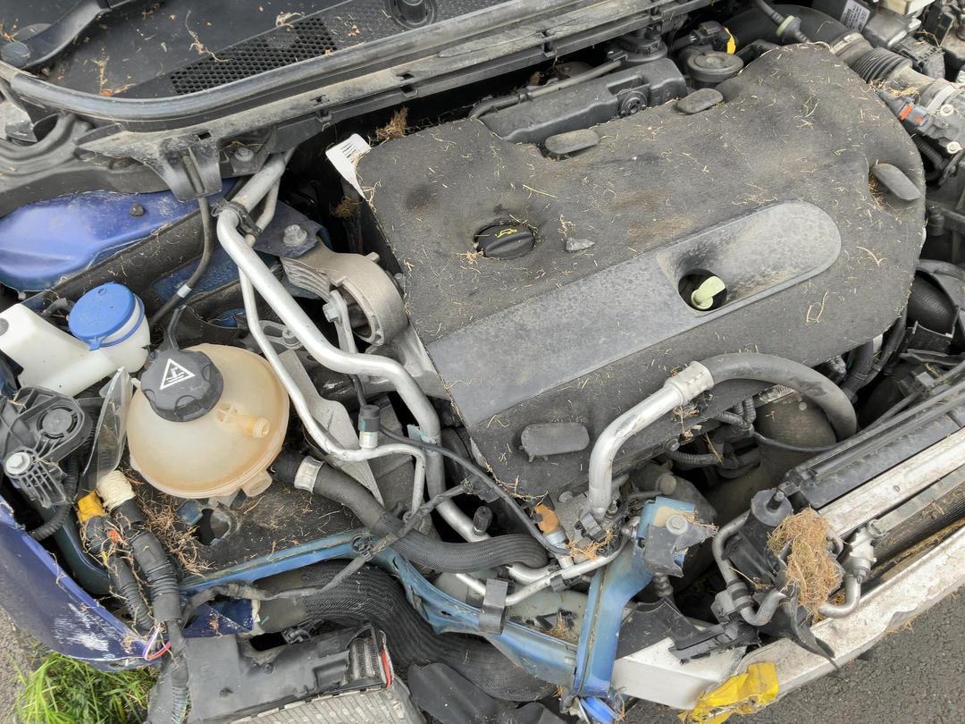 Photo '16' of Peugeot 308 GT Diesel