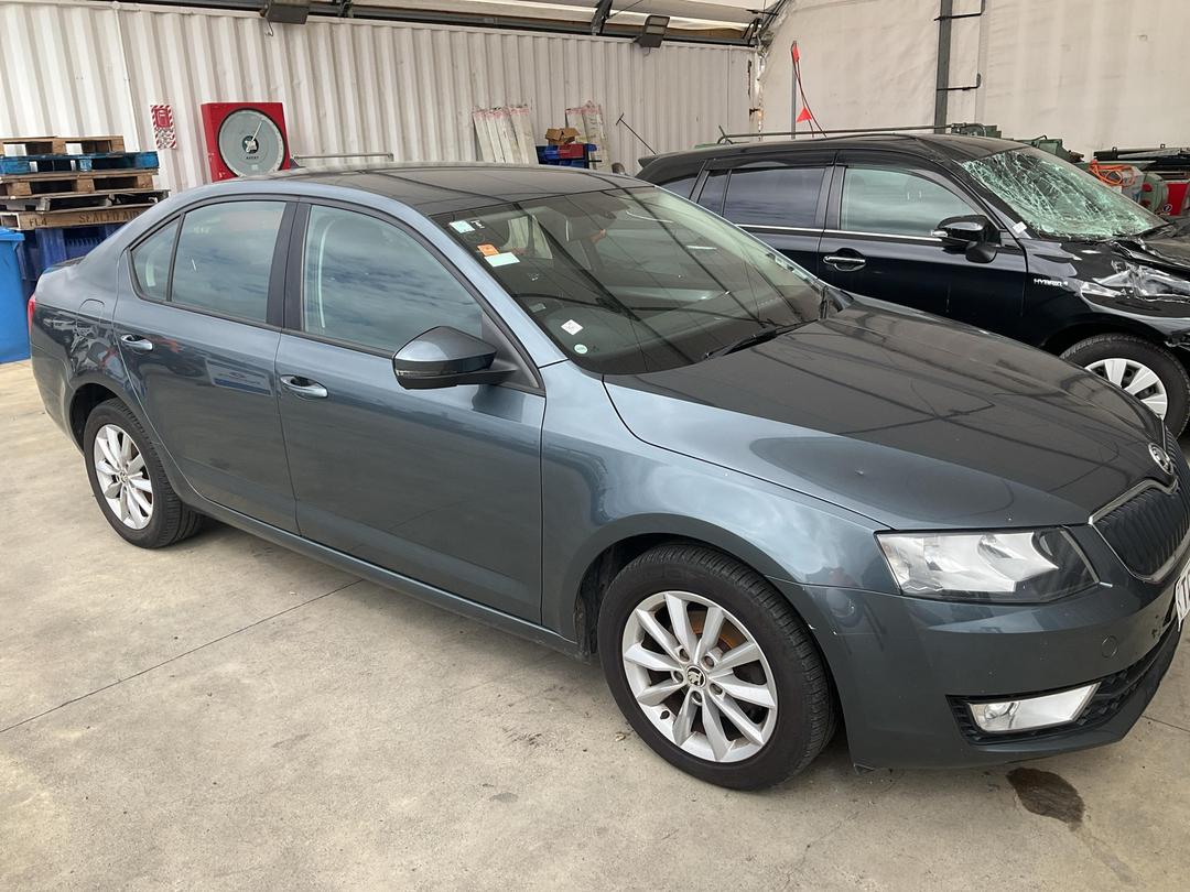 Photo '6' of Skoda Octavia TDI 81KW 7DSG L/B