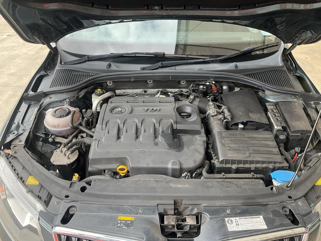 Photo '15' of Skoda Octavia TDI 81KW 7DSG L/B