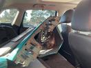 Thumbnail '10' of Suzuki Vitara Ltdha