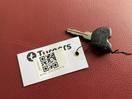 Thumbnail '19' of Vespa Primavera 50
