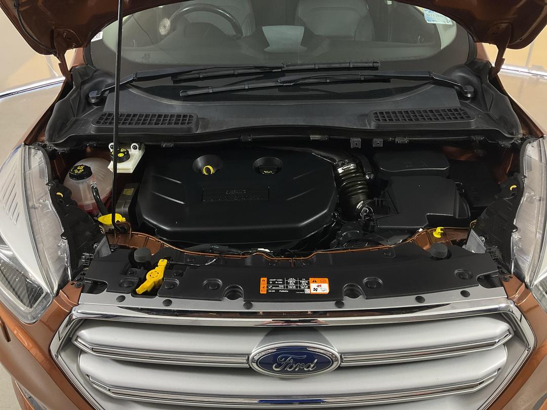 Photo '13' of Ford Escape