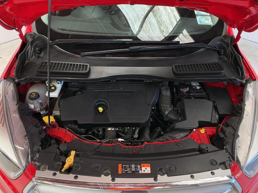 Photo '13' of Ford Escape