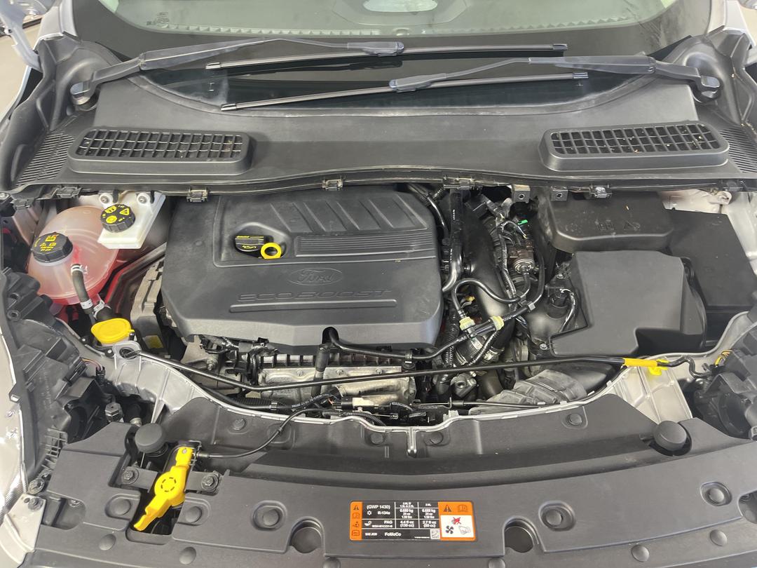 Photo '13' of Ford Escape