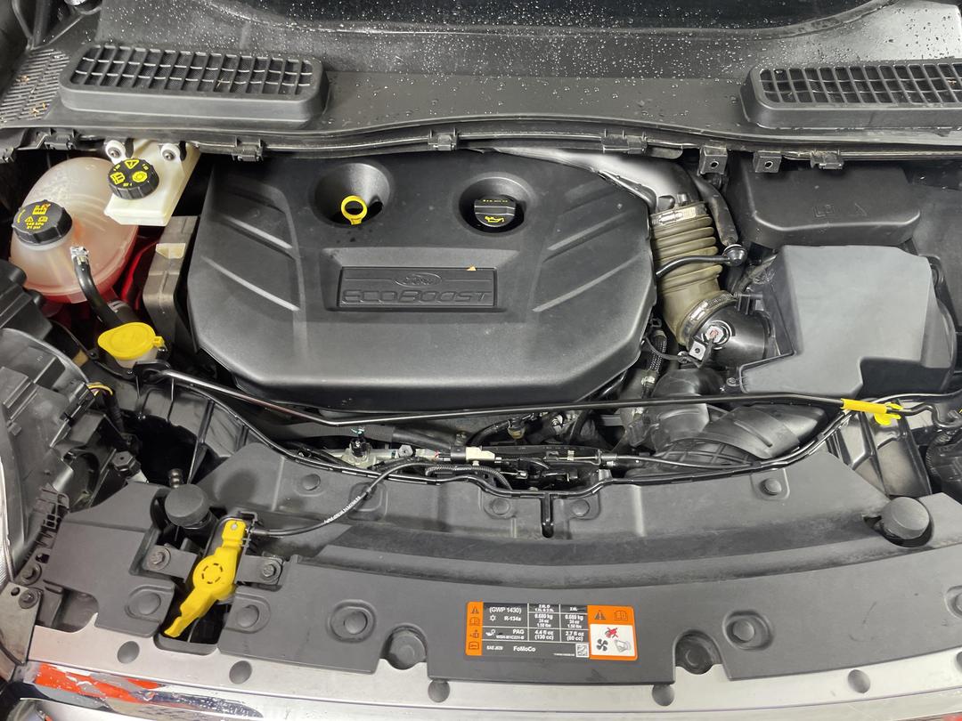 Photo '13' of Ford Escape