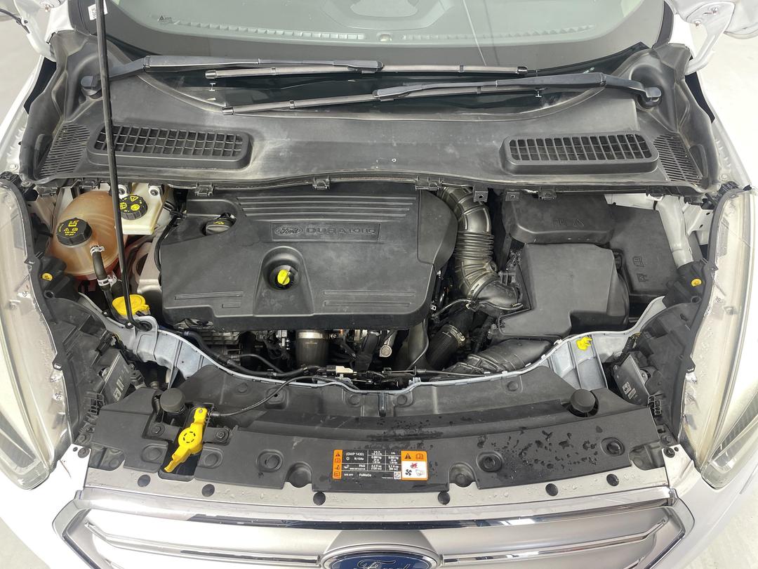 Photo '13' of Ford Escape