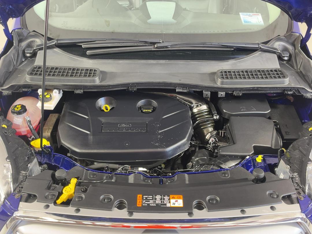 Photo '13' of Ford Escape