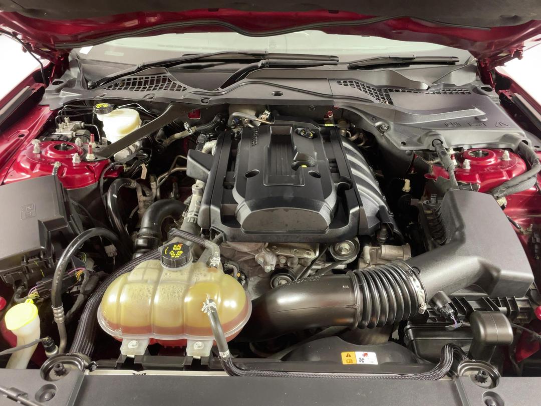 Photo '13' of Ford Mustang