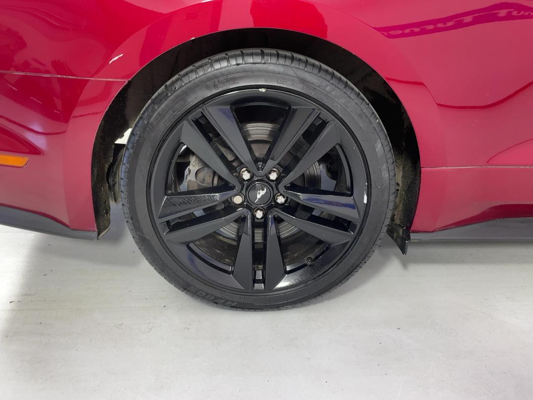 Photo '12' of Ford Mustang