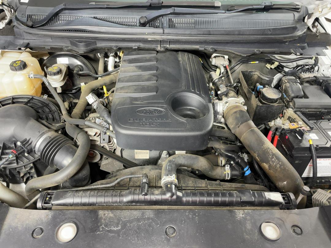 Photo '13' of Ford Ranger