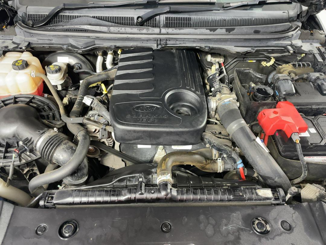 Photo '13' of Ford Ranger