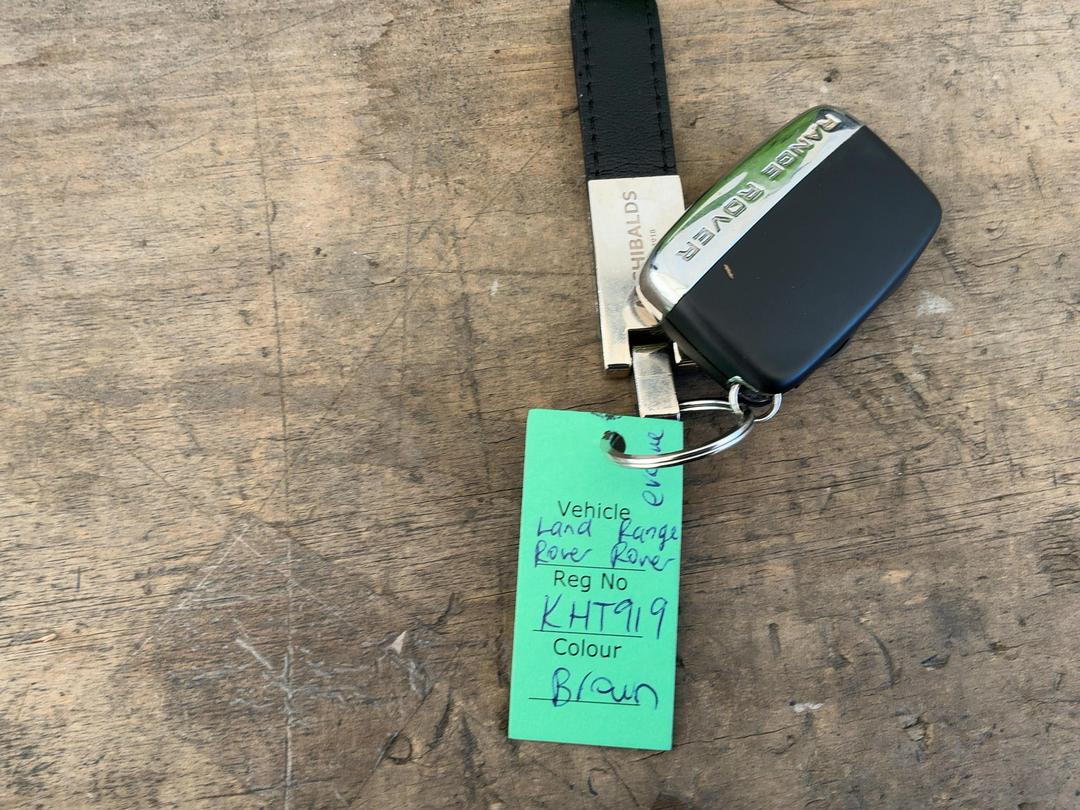 Photo '20' of Land Rover Range Rover Evoque SI4 SE