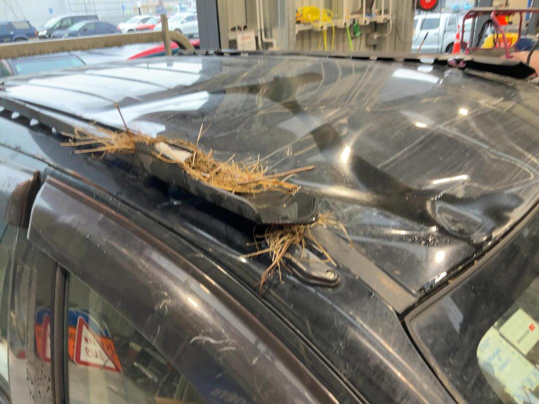 Photo '19' of Mitsubishi Triton Dcab C GLX