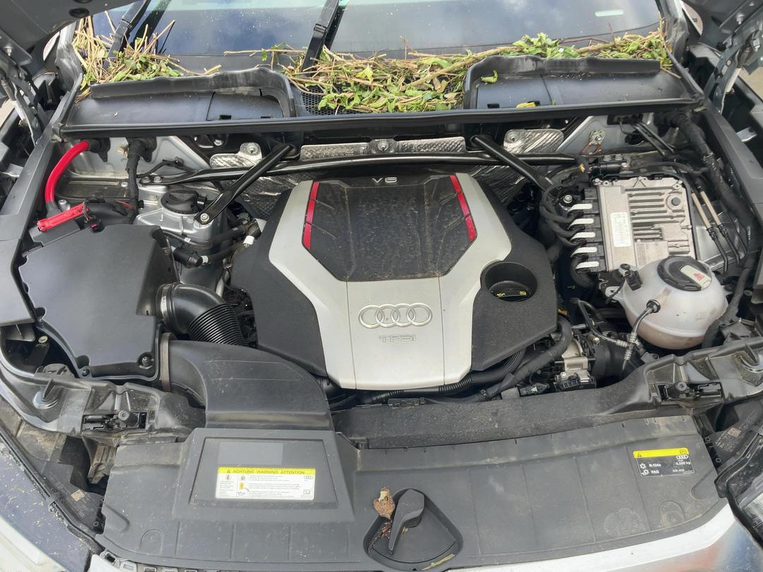 Photo '2' of Audi Q5 SQ5 Tfsi Photo '2' of Audi Q5 SQ5 Tfsi