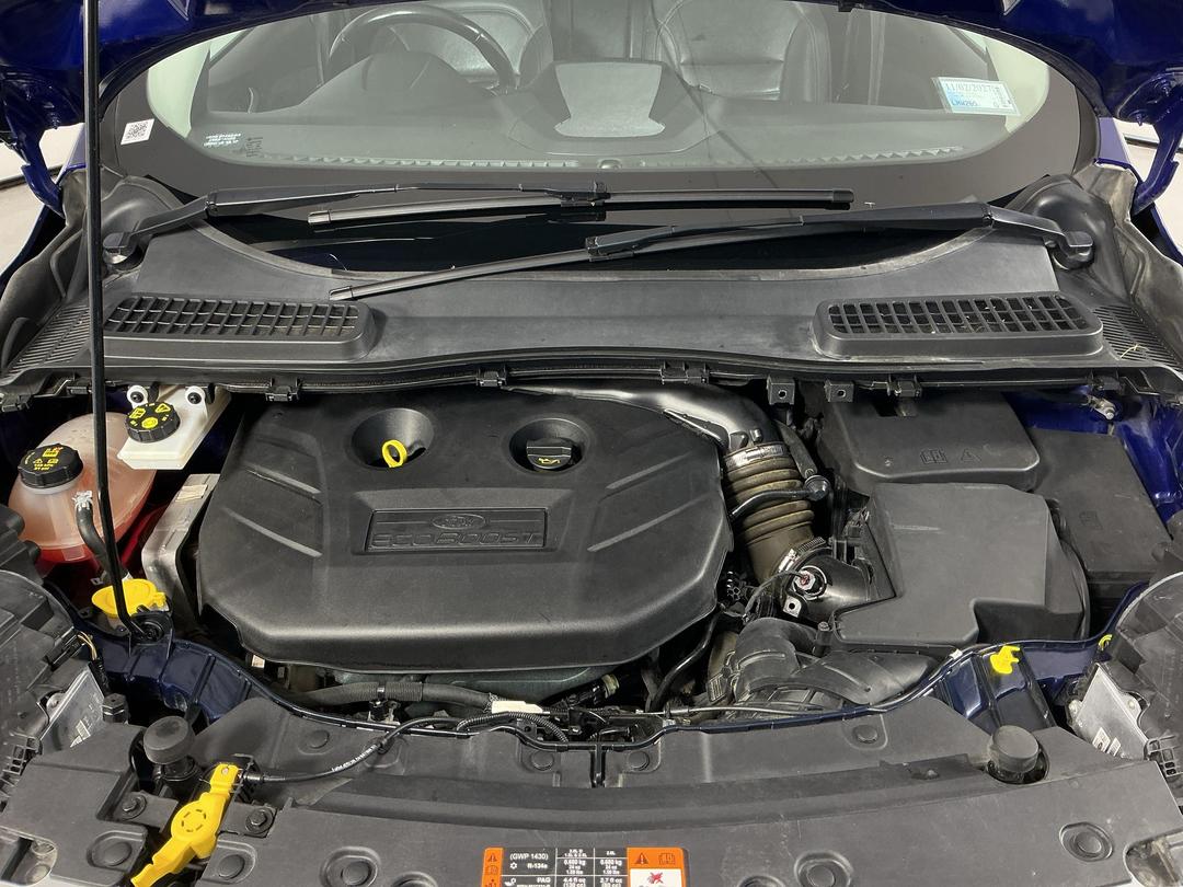 Photo '13' of Ford Escape