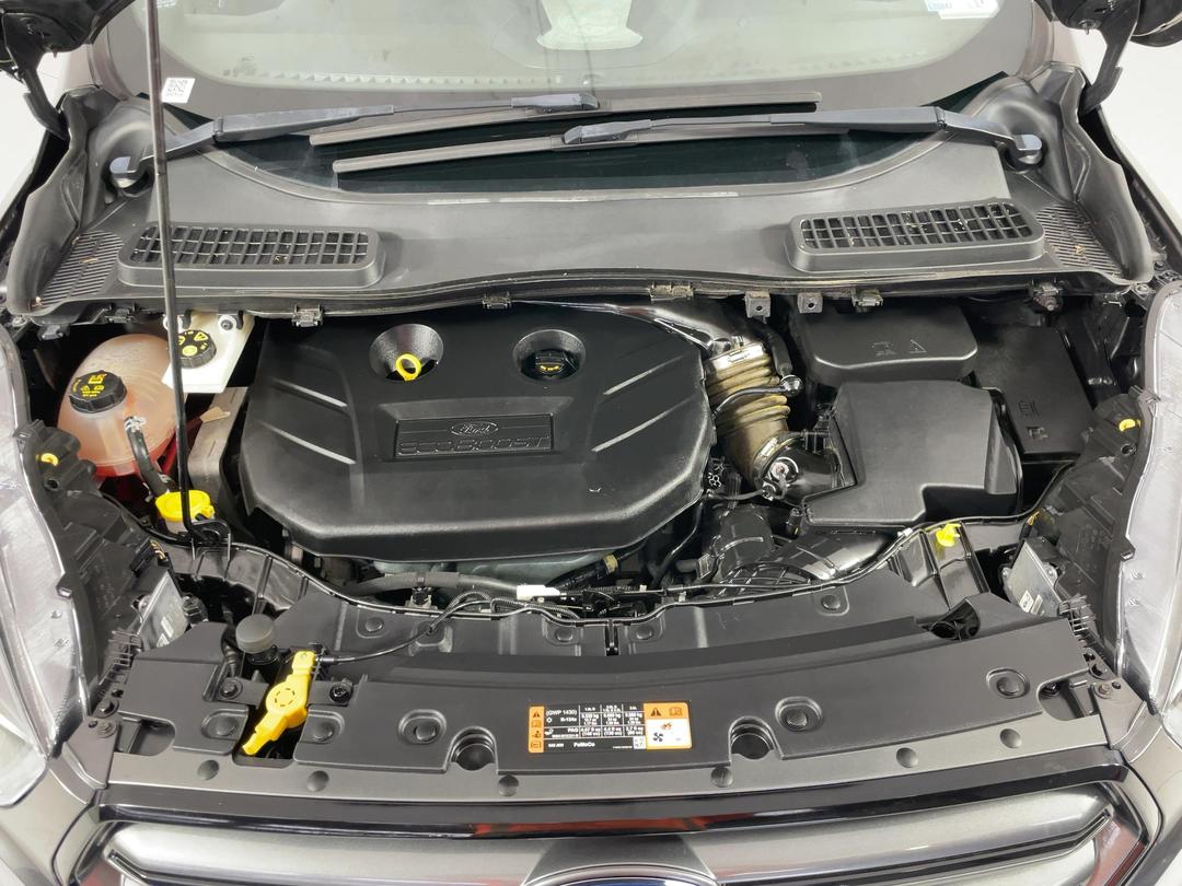 Photo '13' of Ford Escape