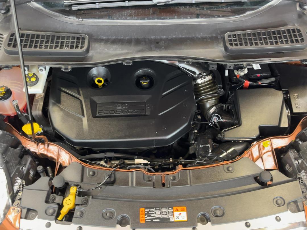 Photo '13' of Ford Escape