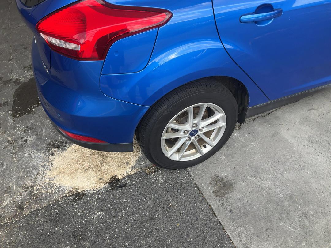 Photo '13' of Ford Focus Trend