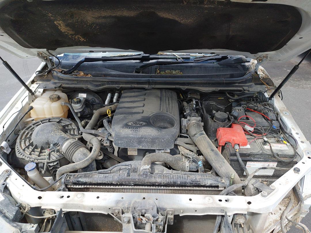 Photo '13' of Ford Ranger XLT Double CAB W/SA