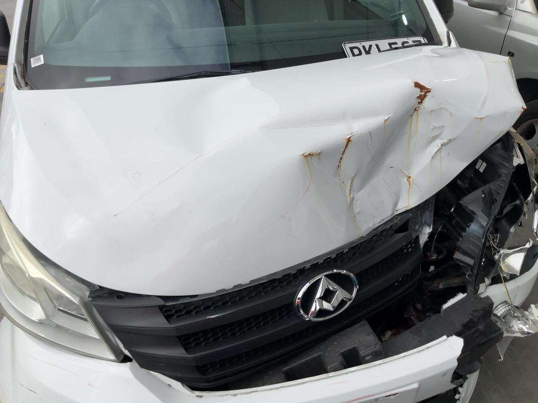 Photo '18' of LDV G10