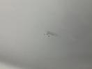 Thumbnail '12' of Mazda Demio