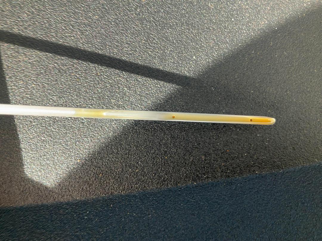 Photo '14' of Toyota Corolla GX