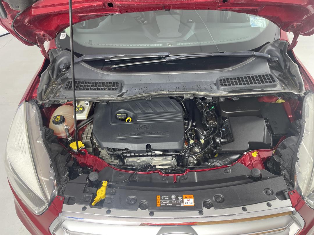 Photo '13' of Ford Escape