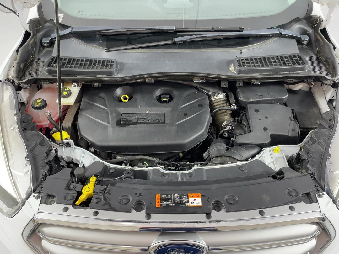 Photo '13' of Ford Escape