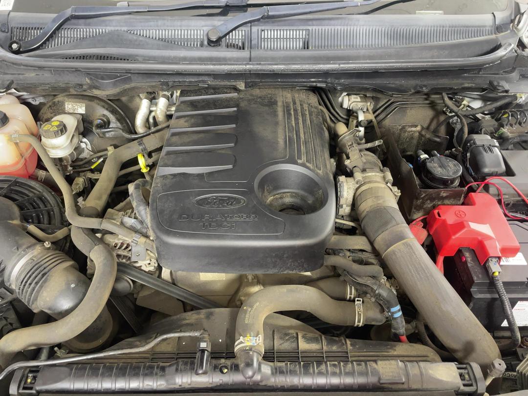 Photo '13' of Ford Ranger