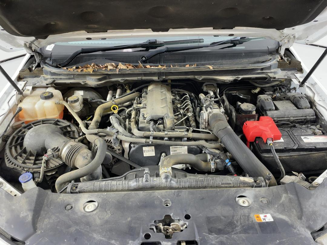 Photo '13' of Ford Ranger