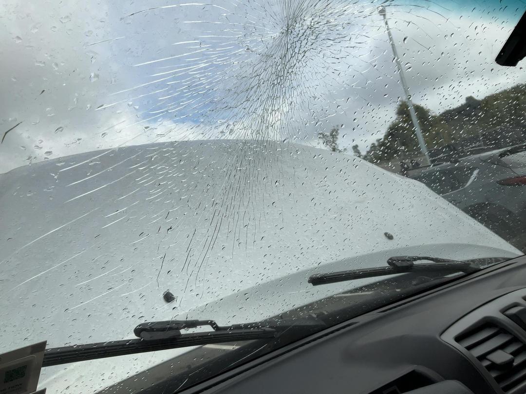 Photo '14' of Great Wall Steed Single CAB