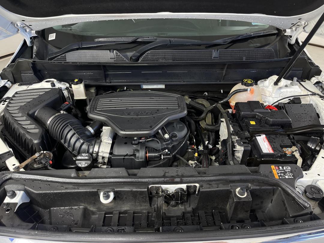 Photo '13' of Holden Acadia