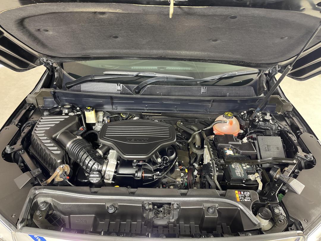 Photo '13' of Holden Acadia