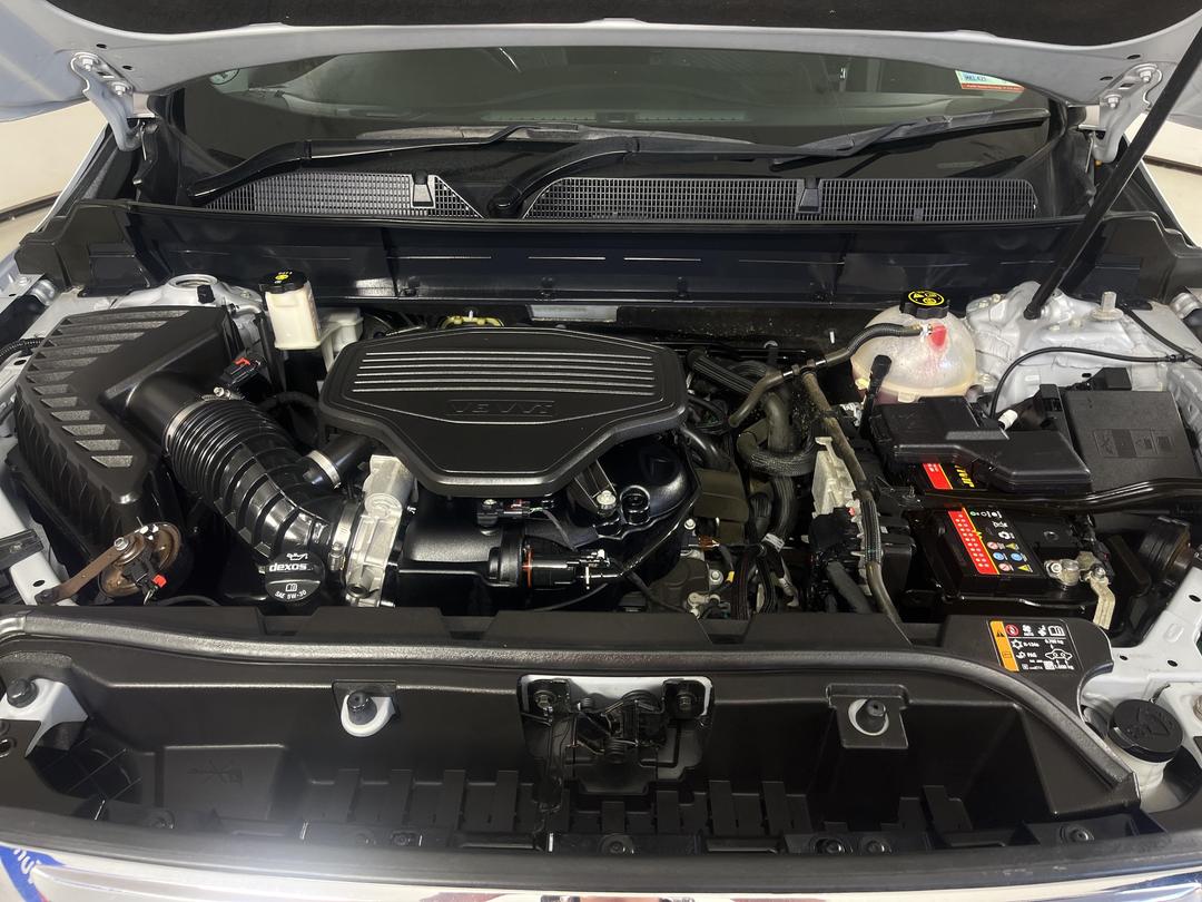 Photo '13' of Holden Acadia