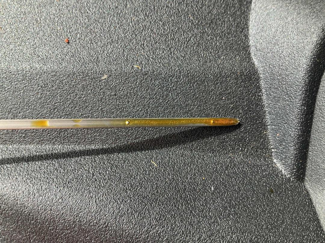 Photo '14' of Toyota Prius Hybrid