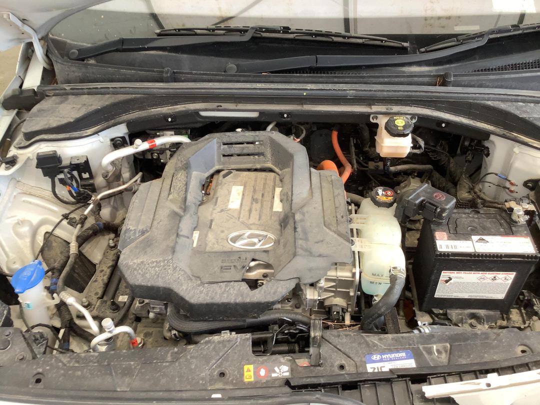 Photo '13' of Hyundai Ioniq 100KW EV