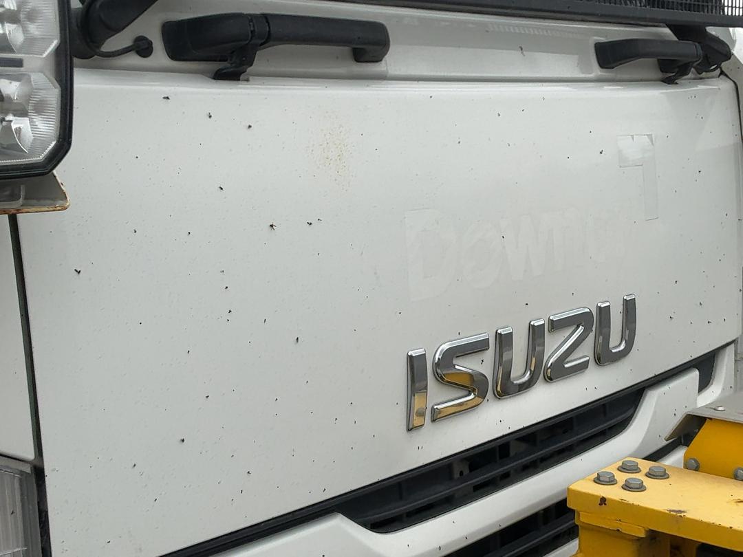 Photo '31' of Isuzu F Series FRR500 Sweeper Truck