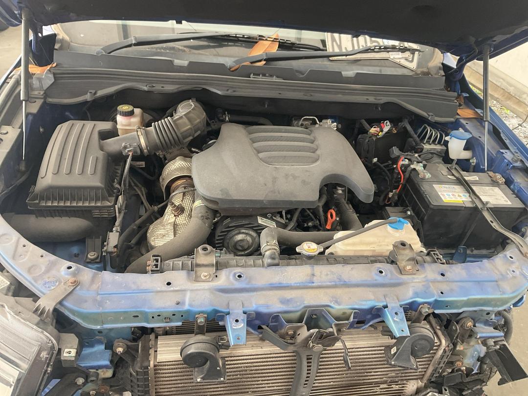 Photo '10' of Great Wall GWM Cannon Luxury 4X2