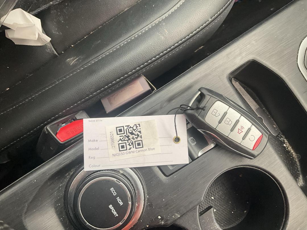 Photo '16' of Great Wall GWM Cannon Luxury 4X2