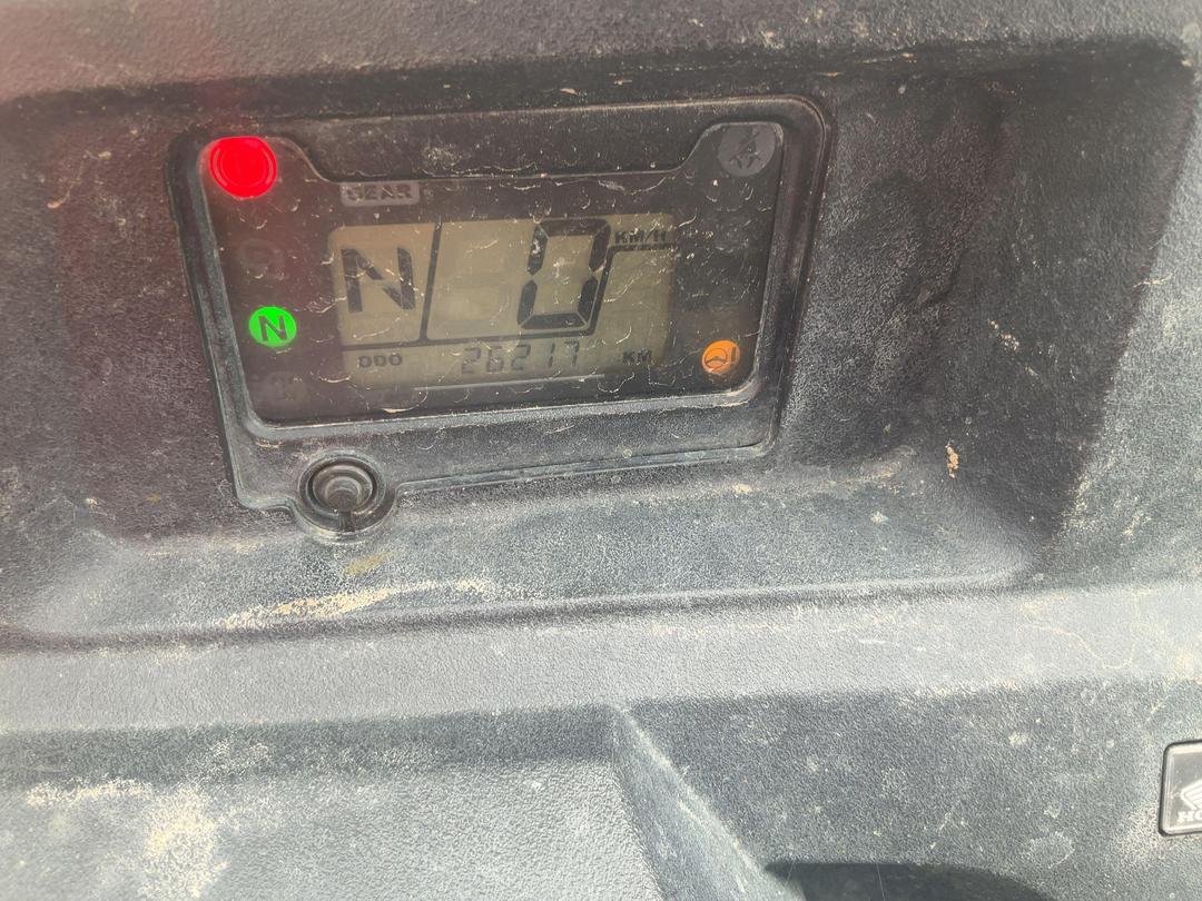 Photo '8' of Honda Pioneer 700