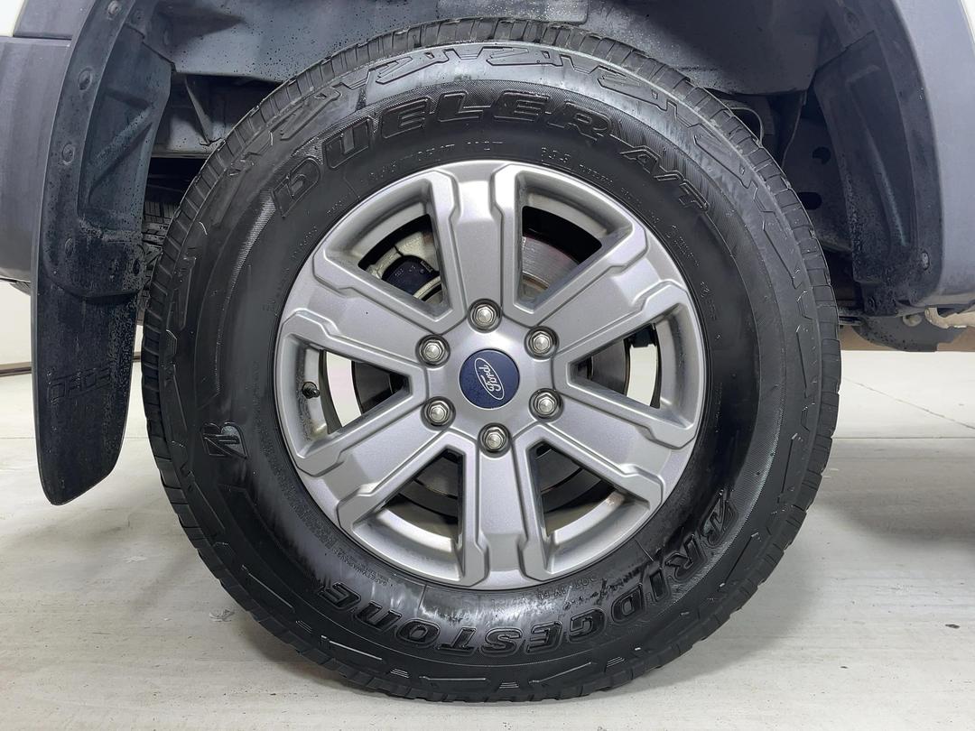 Photo '12' of Ford Ranger