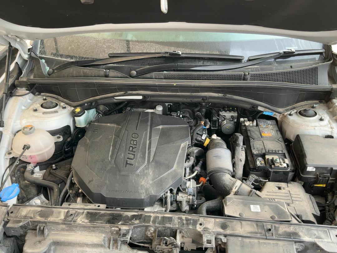 Photo '10' of Hyundai Santa FE TM Limited