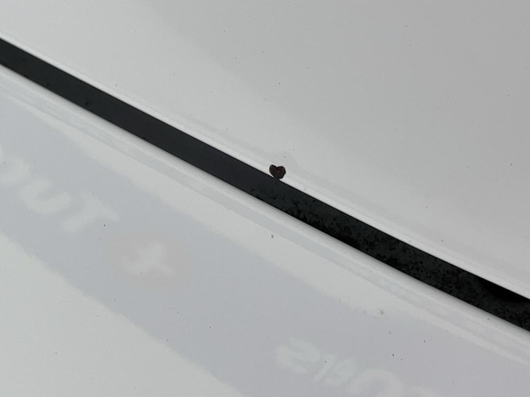 Photo '24' of MG 3
