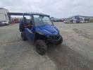 Thumbnail '1' of Yamaha Wolverine