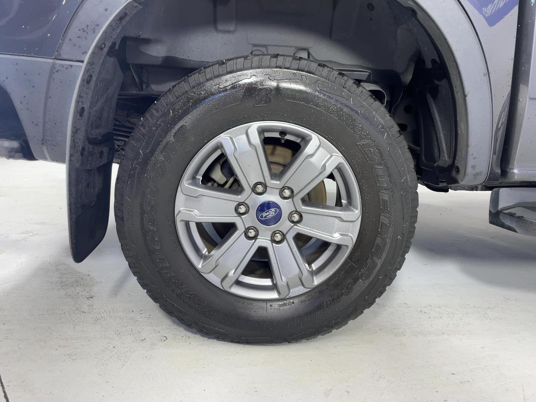 Photo '12' of Ford Ranger