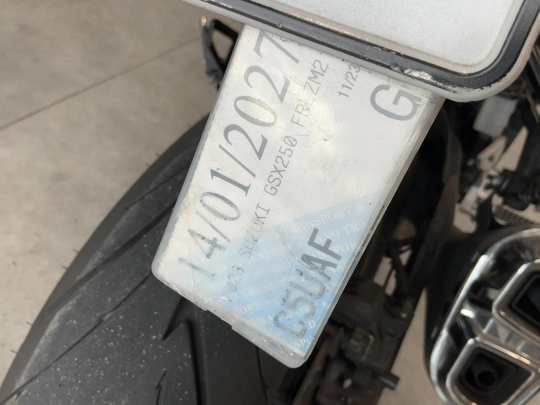 Photo '16' of Suzuki GSX250 Frlzm2
